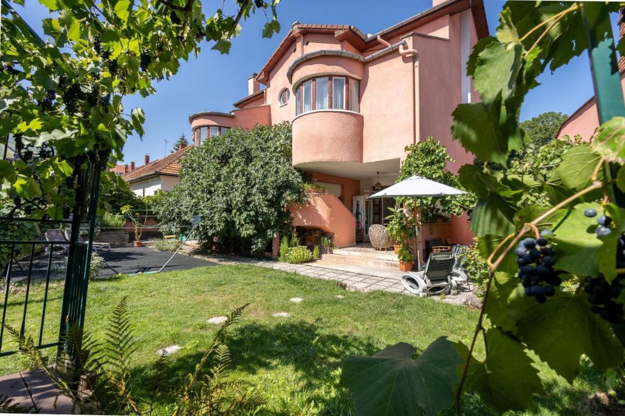 Villa-Hotel Escala Kluž Exteriér fotografie